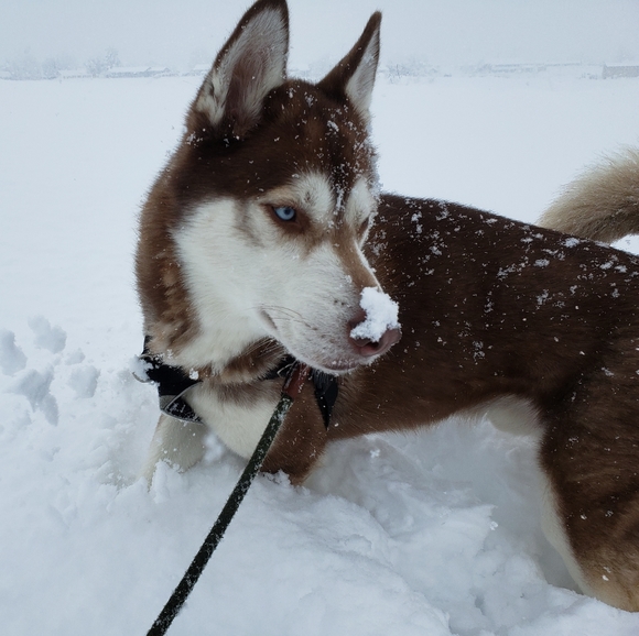 Meet your Posher, Alicia - Picture 10 of 16